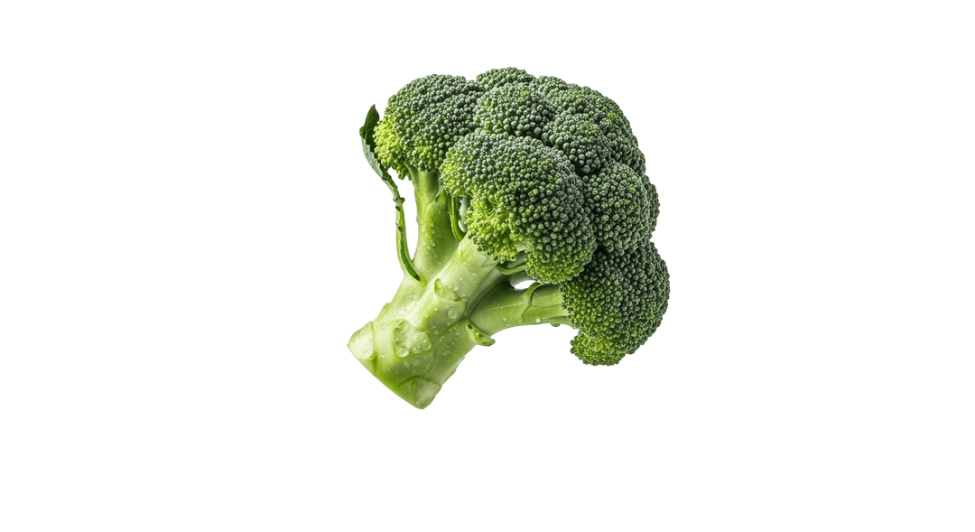 Fresh Broccoli